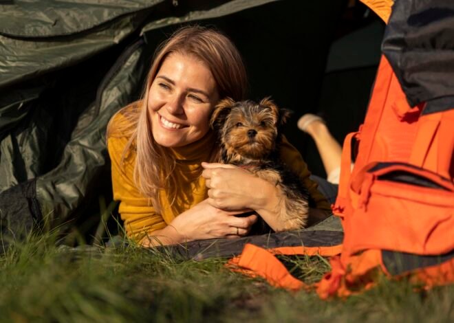 Camping With Pets: Making the Outdoors Comfortable for Everyone